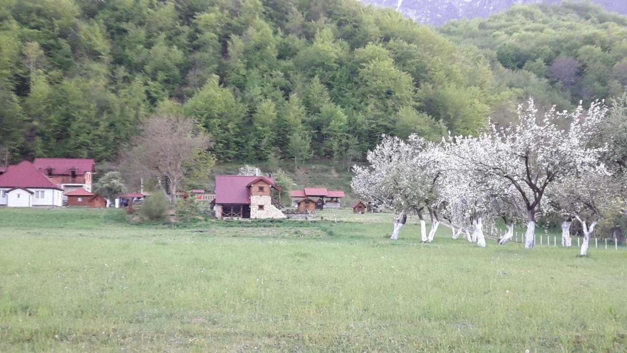 Camp &Apartmens Scepanovic Мойковац Экстерьер фото