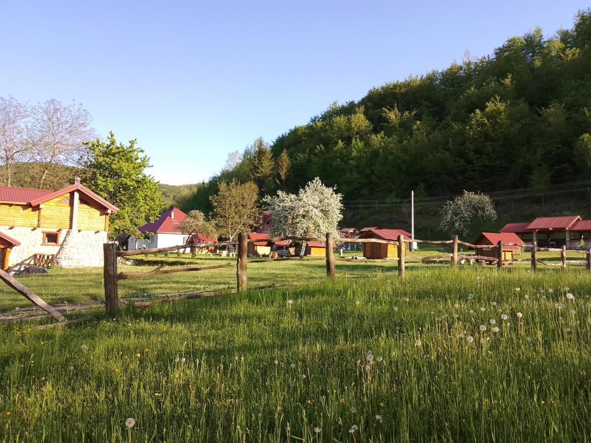 Camp &Apartmens Scepanovic Мойковац Экстерьер фото