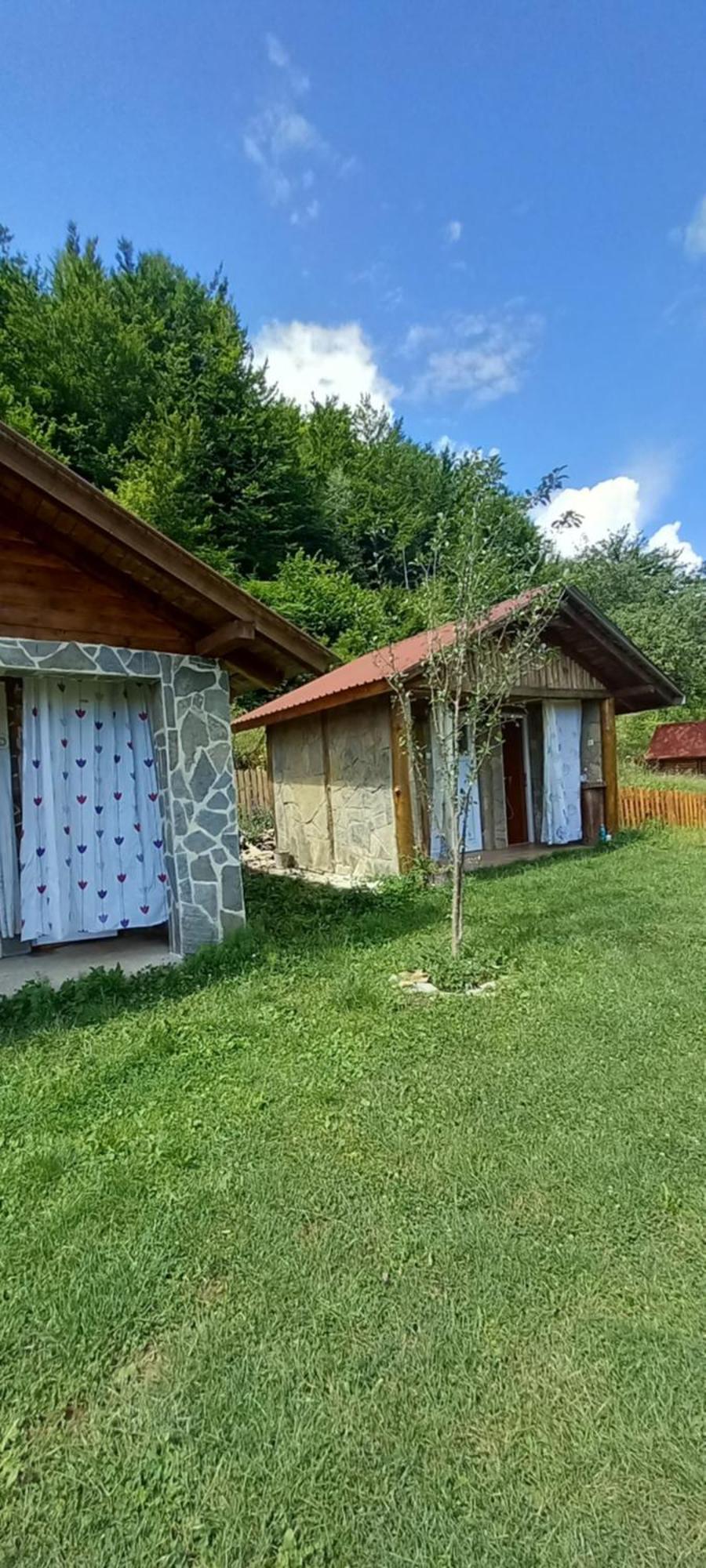 Camp &Apartmens Scepanovic Мойковац Экстерьер фото